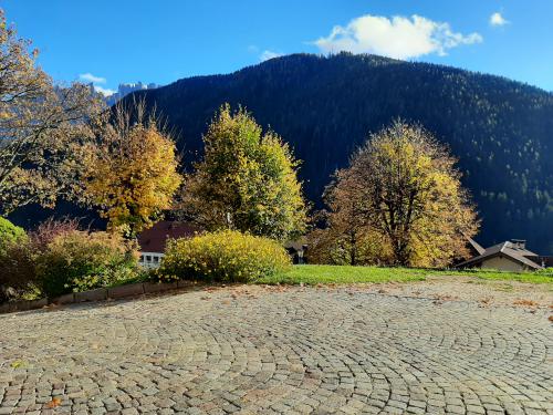 Impressioni vicino la nostra casa