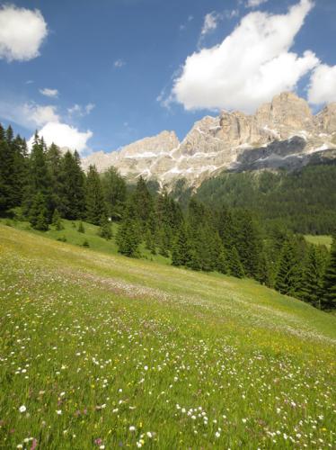 Mountain experience in the Dolomites