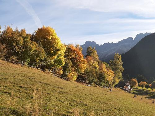 Wiese Rosengartn Herbst