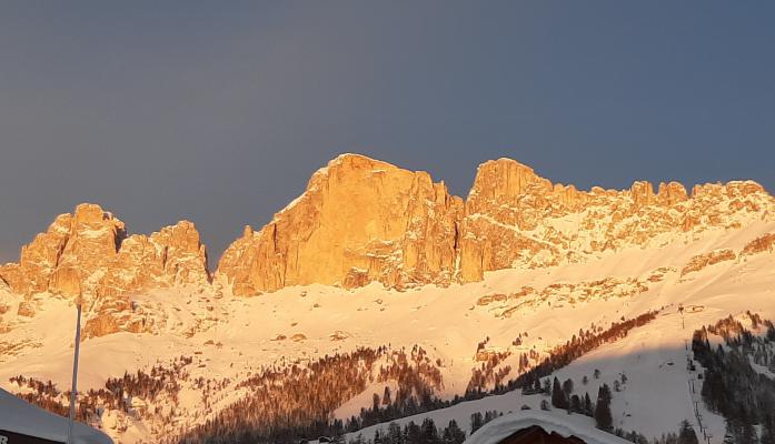 Apartments Tschandlhof - Nova Levante in South Tyrol