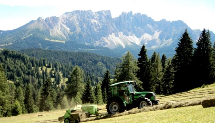 Heuarbeit auf der Alm