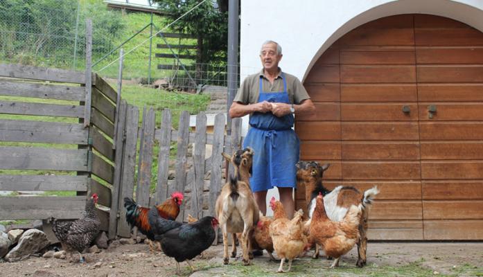 Gli animali aspettano il mangime